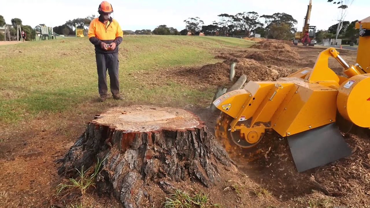 How to Grind a Stump: DIY vs. Professional Services