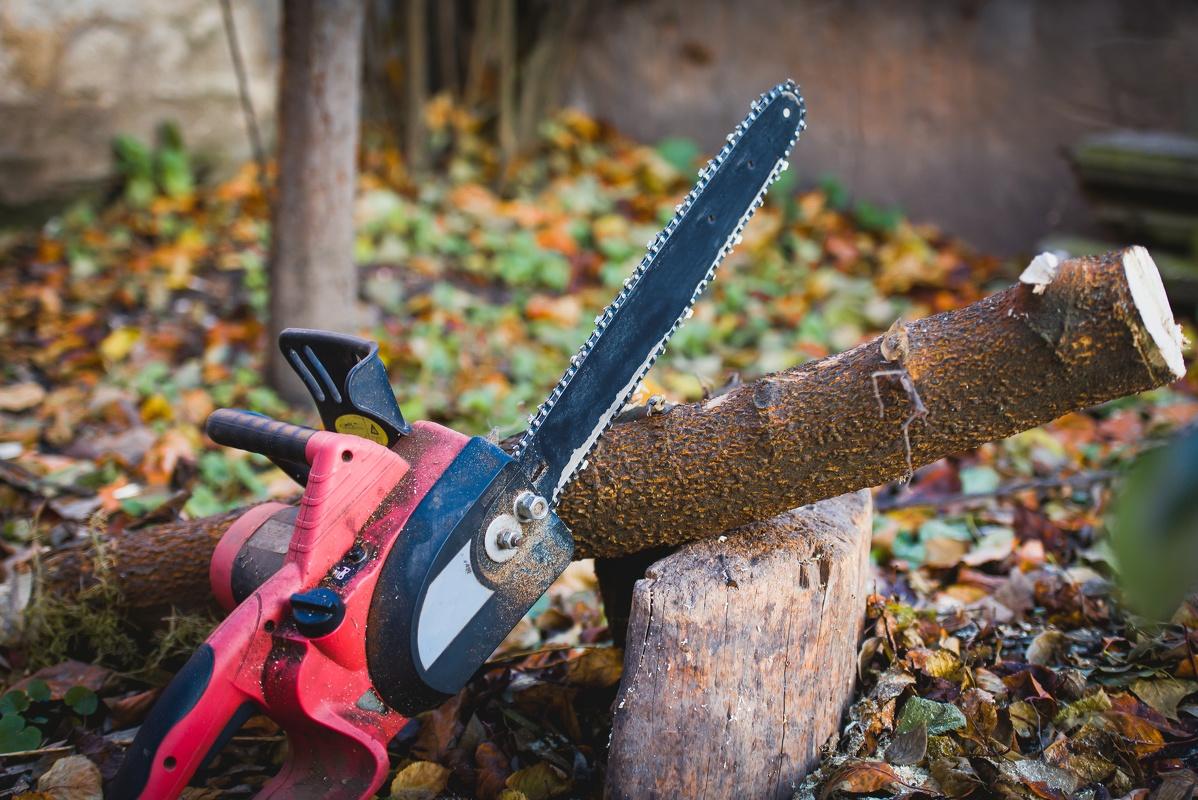 Tree Removal Services