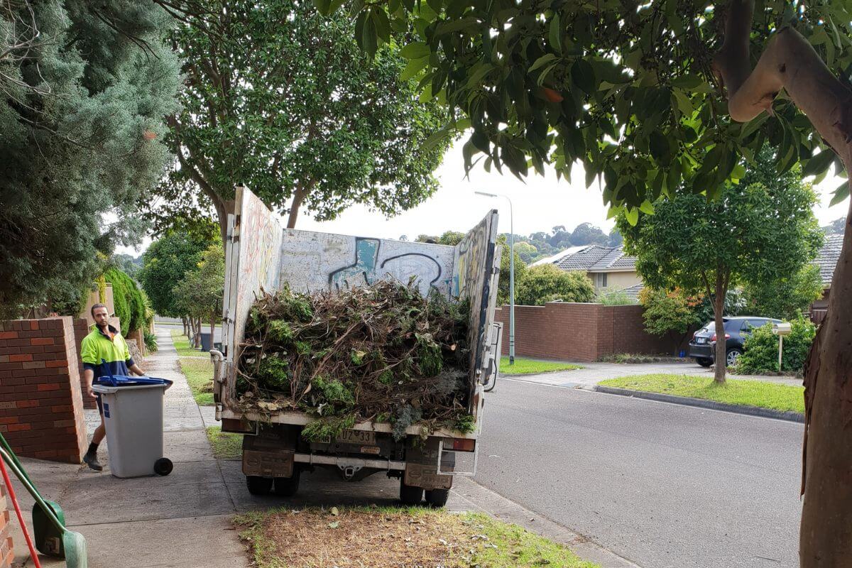 Top Green Waste Removal Services for a Cleaner Environment